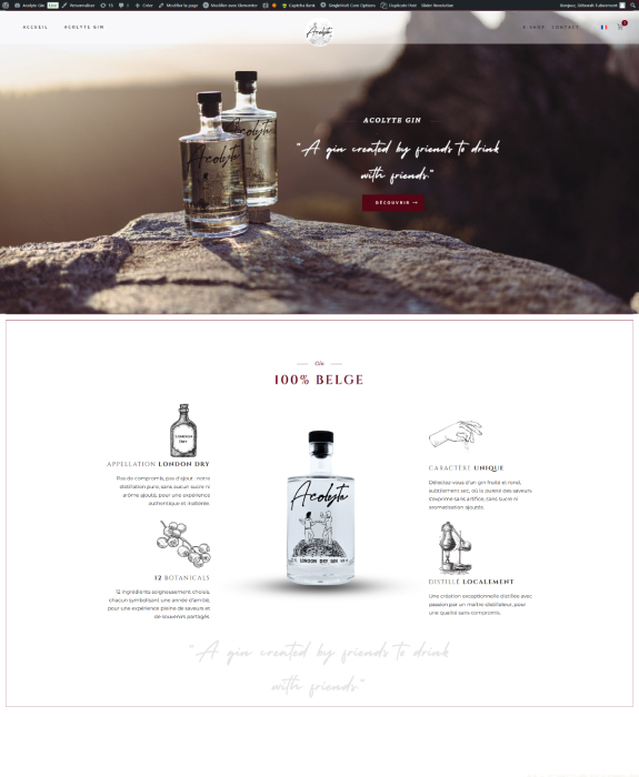 Réalisation Acolyte Gin 1