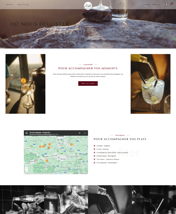 Réalisation Acolyte Gin 3