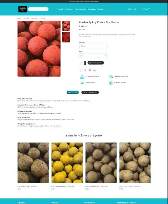 Réalisation Hydroboilies 4