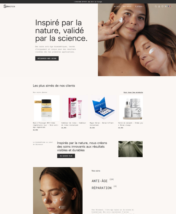 Réalisation Skineance 1