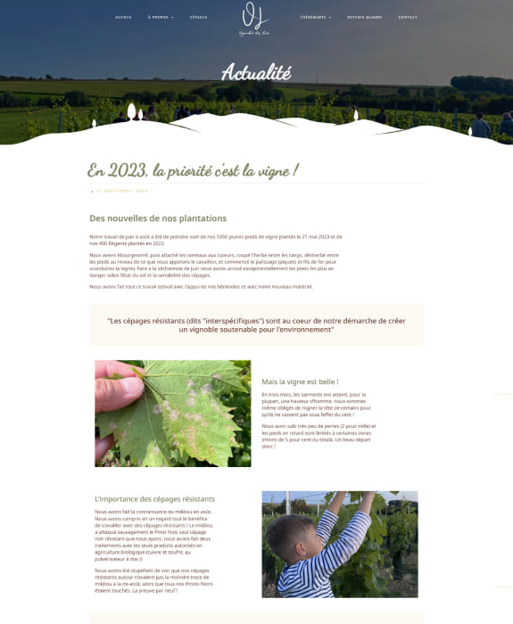 Réalisation Vignoble des Lacs 2